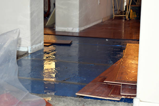 Professional Sewage Cleanup technician working in Huntington, TX